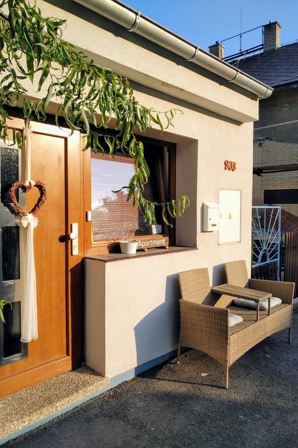 Apartment Vaclavov Decin Exterior photo